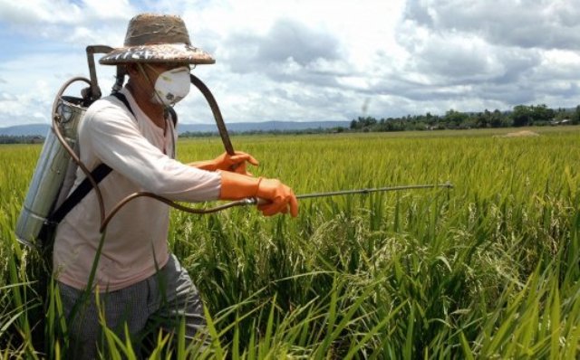 Patentini Fitosanitari Cia Corsi A 130 Euro Per Hobbisti E 