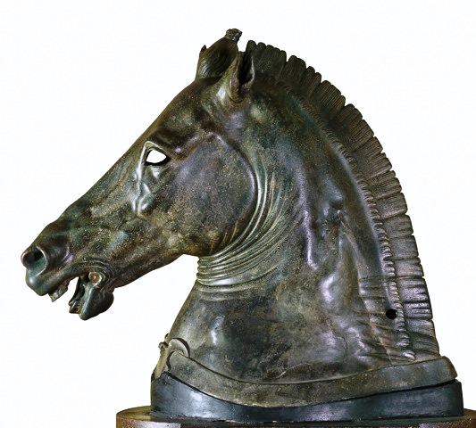 testa_di_cavallo_medici_riccard_1