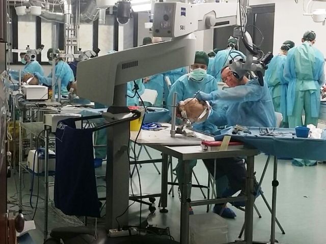 Congresso neurochirurgia