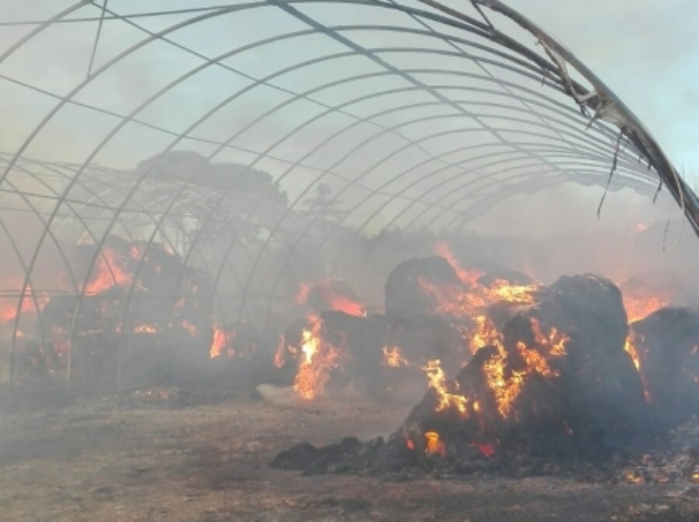 Rotoballe a fuoco a Campi Bisenzio: nessun pericolo per le persone - gonews