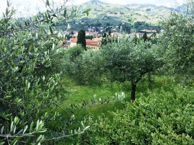 Il seminario organizzato da Cia Pistoia