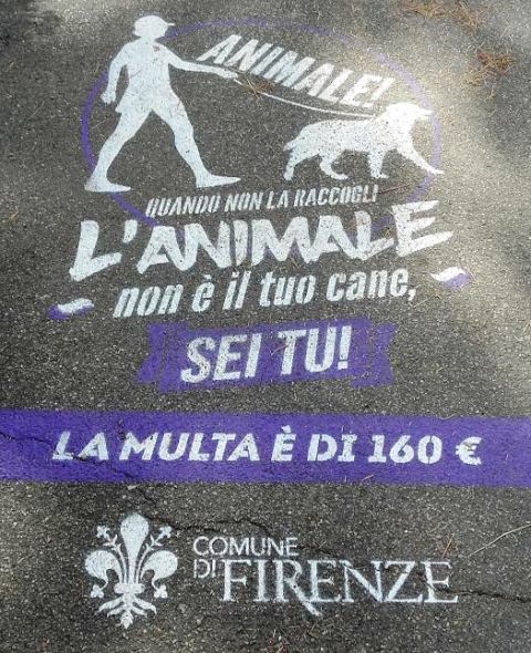 frase_contro_animale