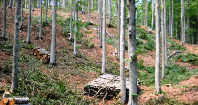 foto di archivio