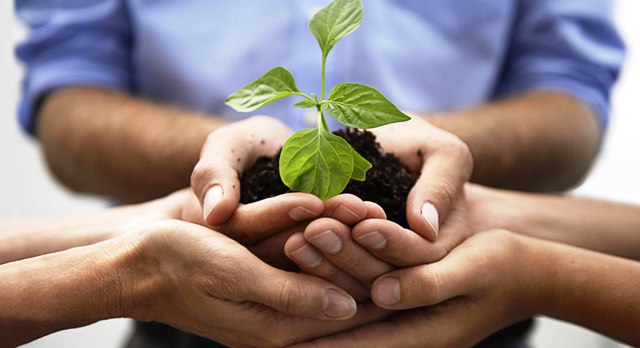 Developing their company as a team