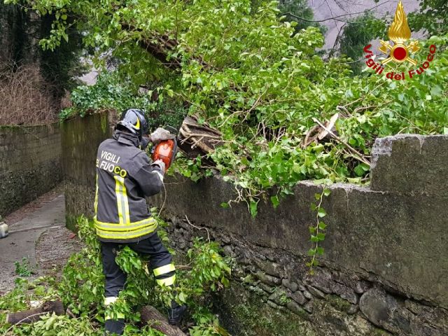 pistoia_pracchia_albero_caduto_cavi_elettricita_enel_vigili_fuoco_2017_12_12__1