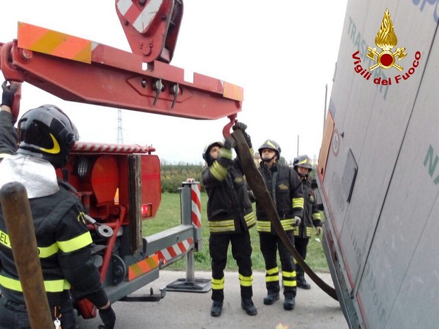 WhatsApp Image 2018-01-30 at 18.58.46