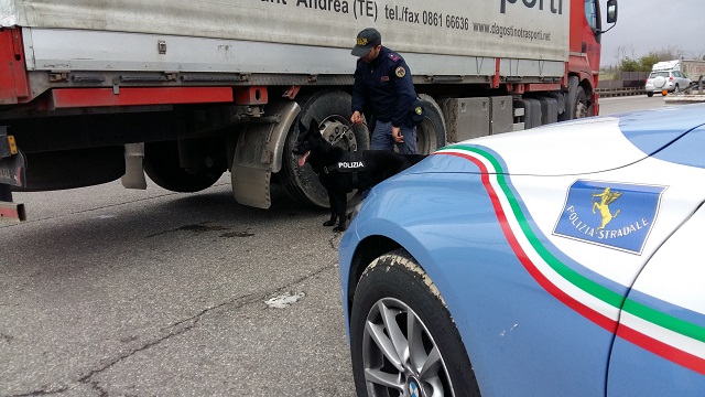 polizia_stradale