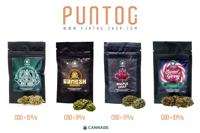 Cannabis Light selezioni con elevato contenuto di CBD in vendita su PuntoG 
