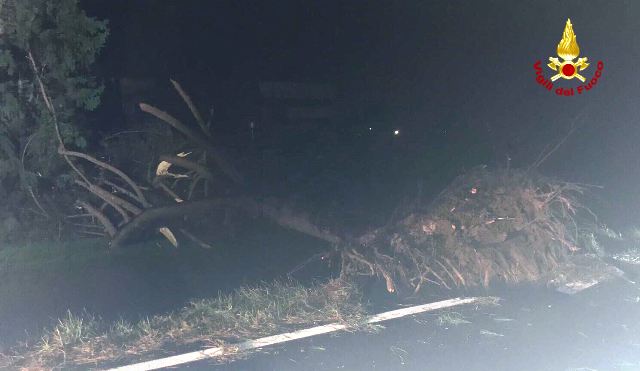 L'intervento dei vigili del fuoco