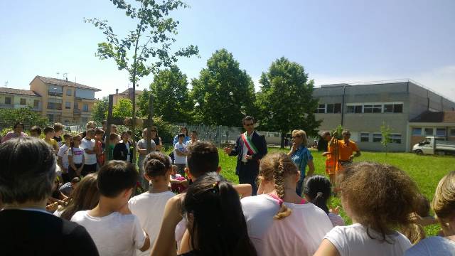 albero sibilla aleramo 2