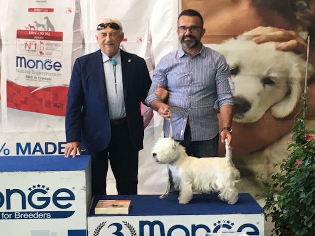 apple_pie_certaldo_laspeziaexpo_cane_2018_08_28_2