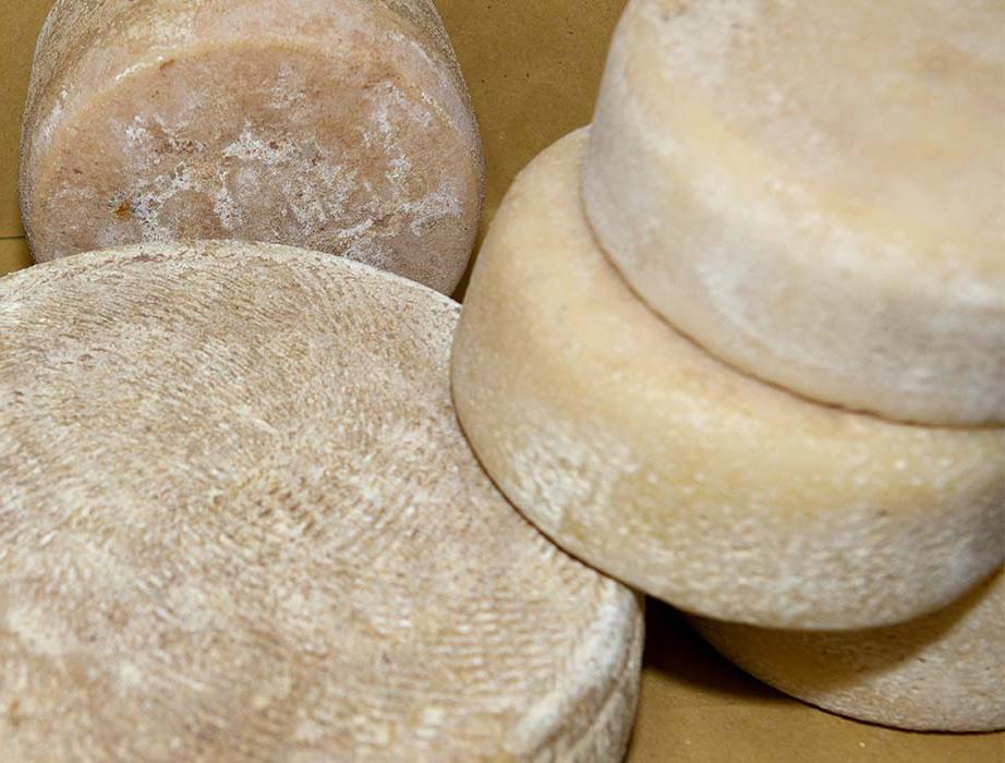 redazionale_food_wine_pisa_terre__5