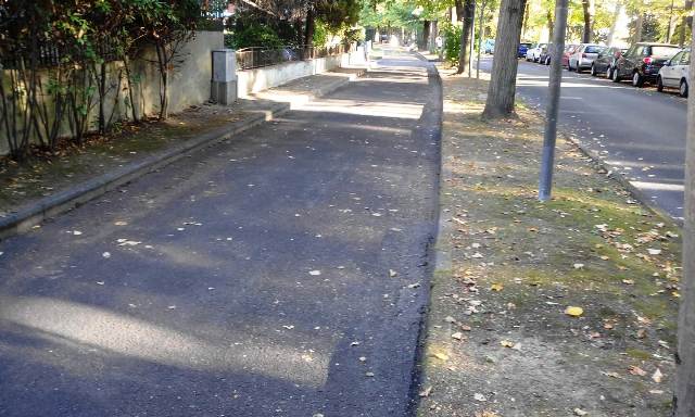 servizio di raccolta foglie