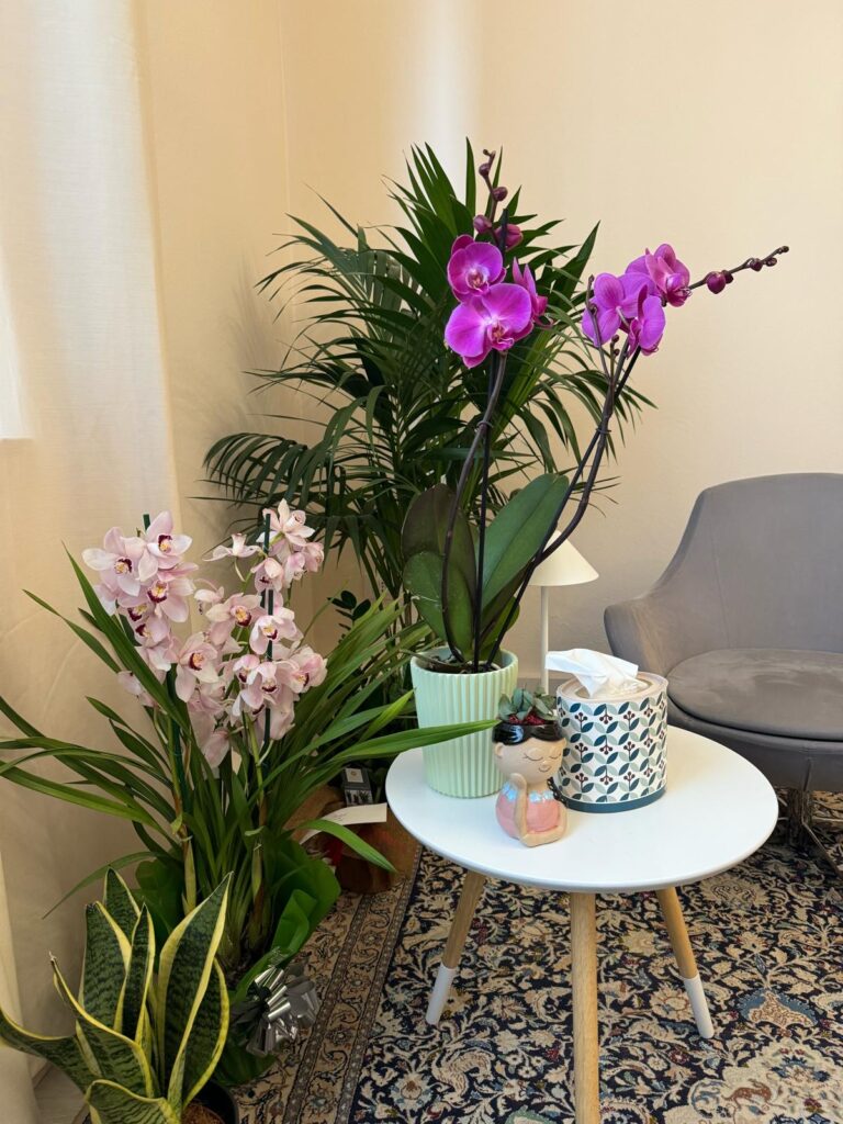 7e4e7039-cc9f-4c48-8cda-56d44ff11ca2