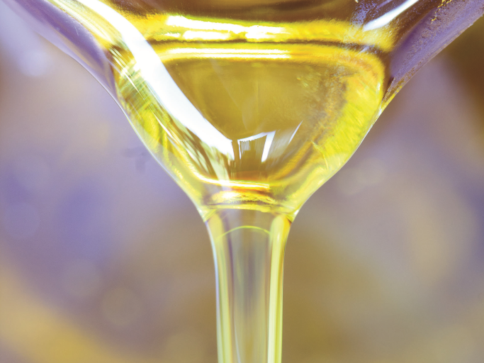 terre_pisa_wine_food_redazionale____1