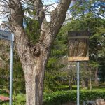 Viale Michele Lisanti