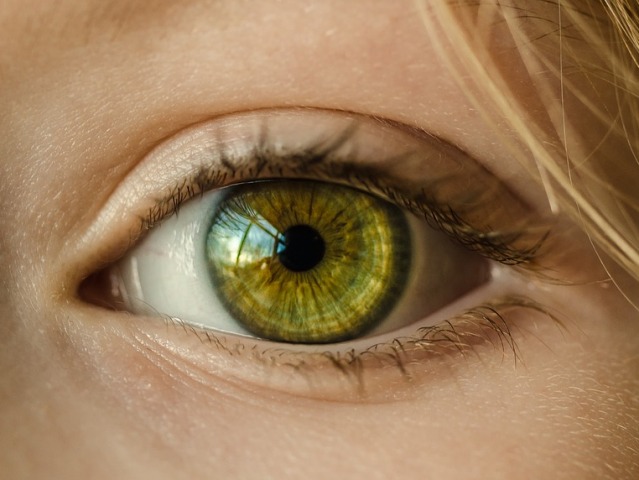 Occhio pigro