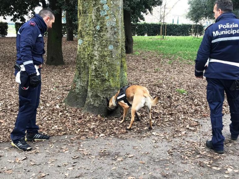 I cani della municipale Firenze alle Cascine