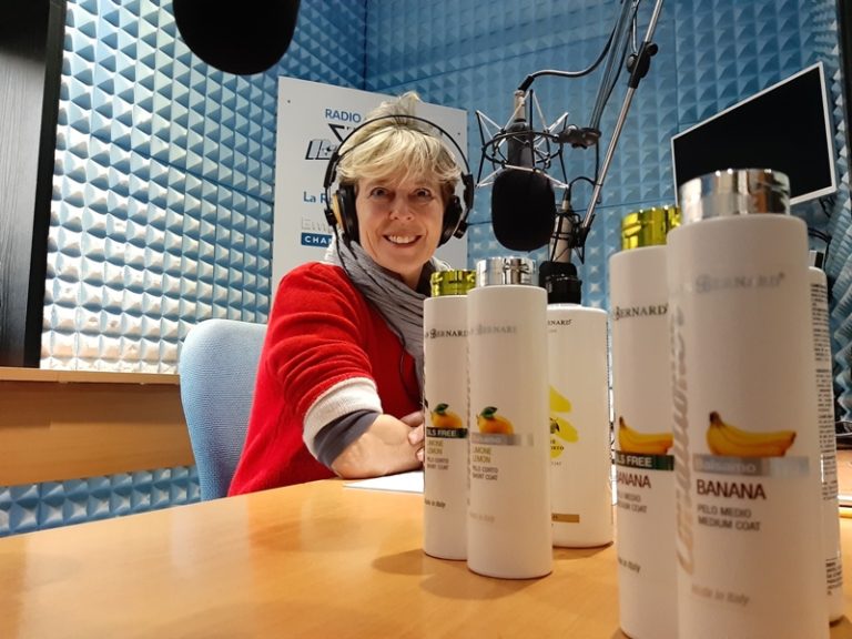 iv san bernard salute cane