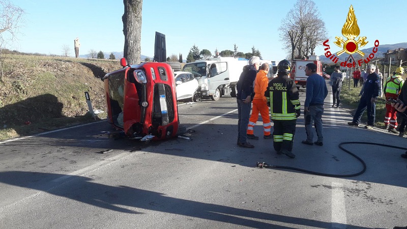 WhatsApp Image 2019-02-16 at 16.39.50