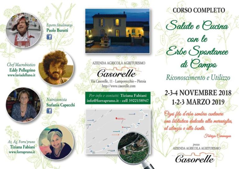 Erbe spontanee di campo