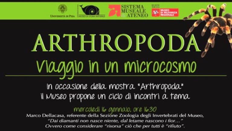 conferenza "Nutrirsi e curarsi con gli insetti"