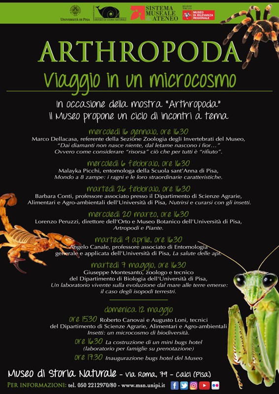 conferenza "Nutrirsi e curarsi con gli insetti"