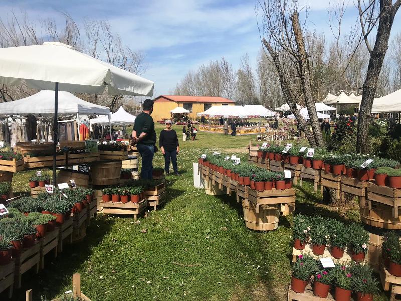 Parco dei Renai di Signa