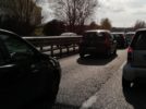 sondaggio fi-pi-li