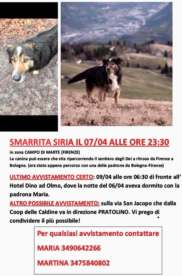 WhatsApp Image 2019-04-11 at 16.42.29