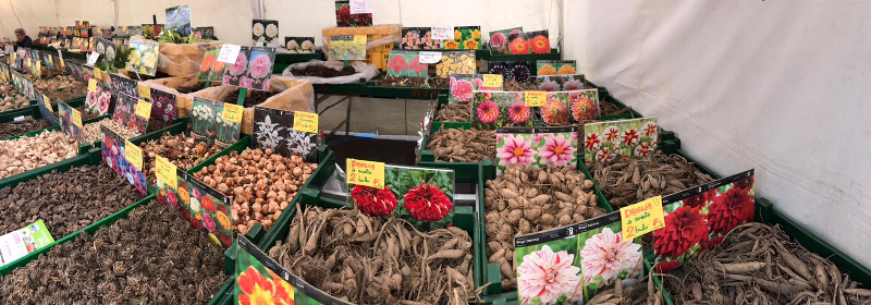 mercato_internazionale_2019_04_06_secondo_giorno_empoli_26