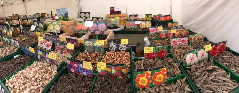 mercato_internazionale_2019_04_06_secondo_giorno_empoli_27