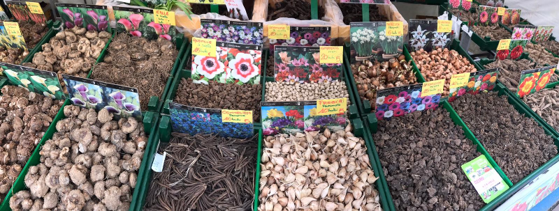 mercato_internazionale_2019_04_06_secondo_giorno_empoli_29