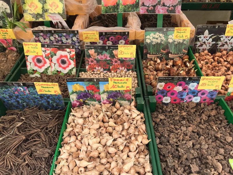 mercato_internazionale_2019_04_06_secondo_giorno_empoli_30