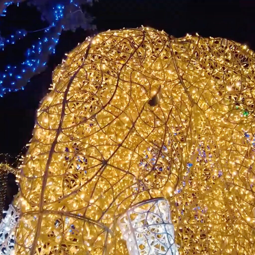 495075452_17846145318470034_5678183311963149497_n