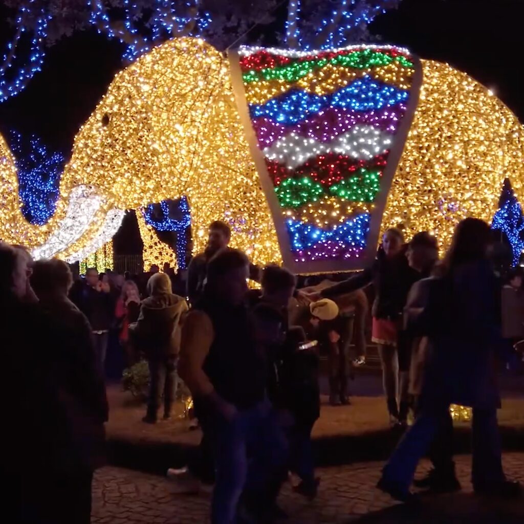 495506520_17846145339470034_6803002168743900942_n