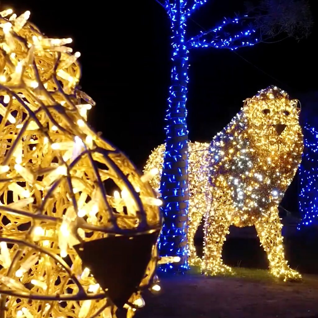 495621511_17846145306470034_8651172989109853609_n