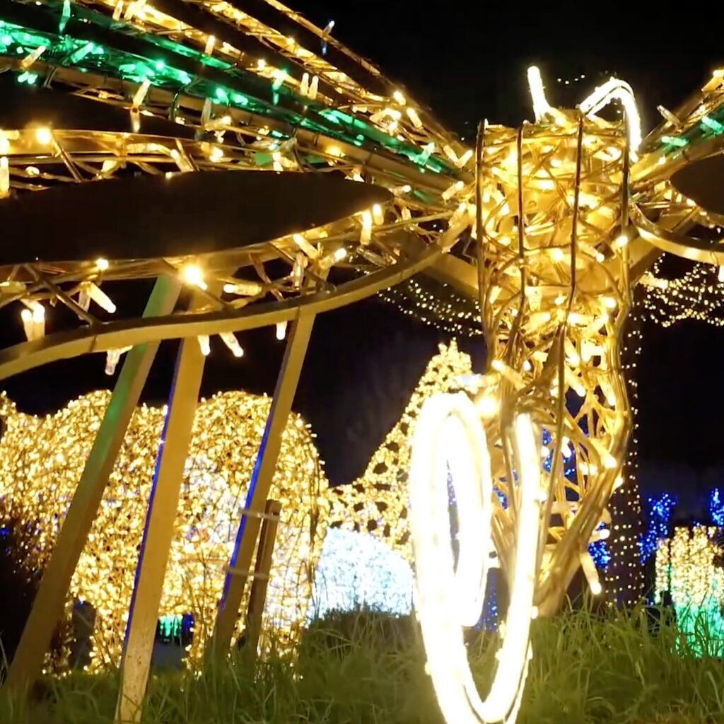 495660329_17846145330470034_7244738003965484393_n