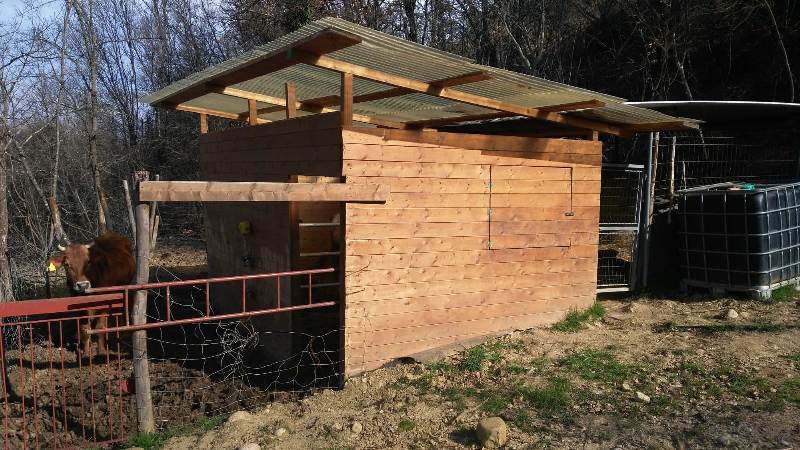 box_strada_pulica_carabinieri_forestale_2019_05_13