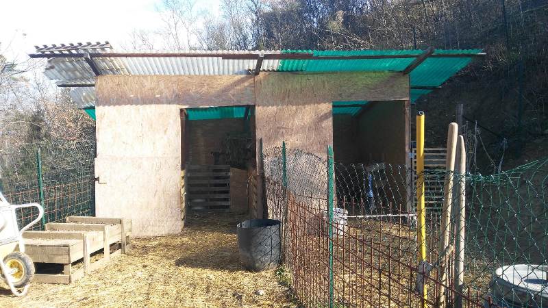 box_strada_pulica_carabinieri_forestale_2019_05_13_