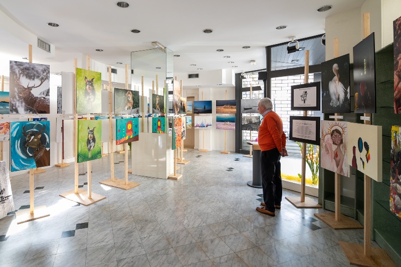 fotografia_pittura_pietrasanta_ph_dalle_luche_1