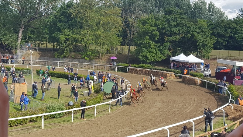 palio_fucecchio_2019 (1)