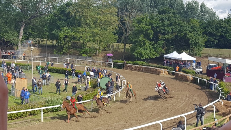 palio_fucecchio_2019 (2)