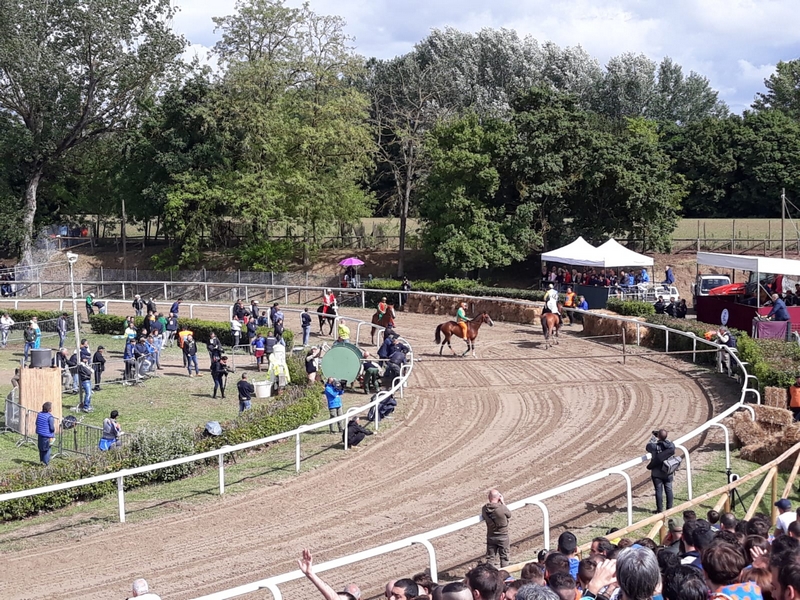 palio_fucecchio_2019 (3)