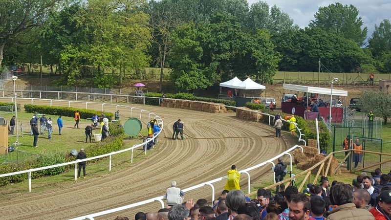 palio_fucecchio_2019 (5)