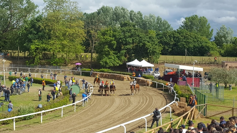 palio_fucecchio_2019 (9)