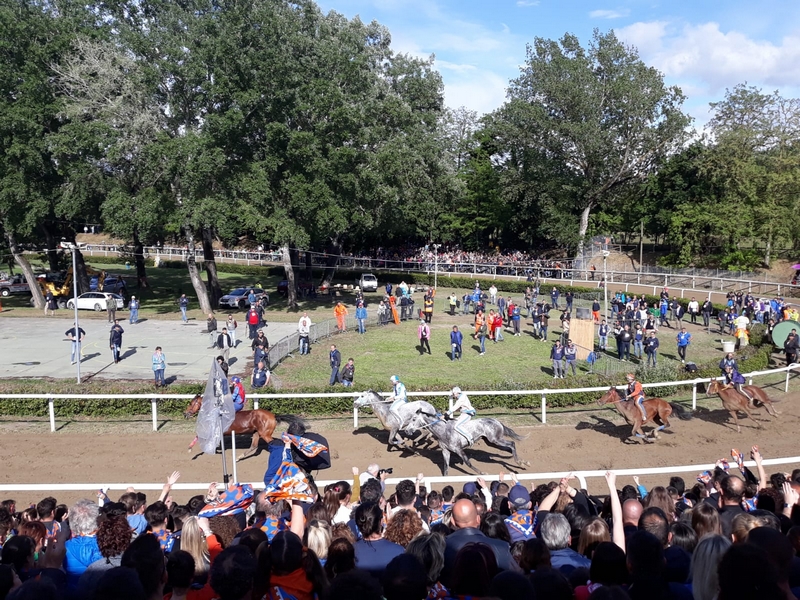 palio_fucecchio_2019_ (11)