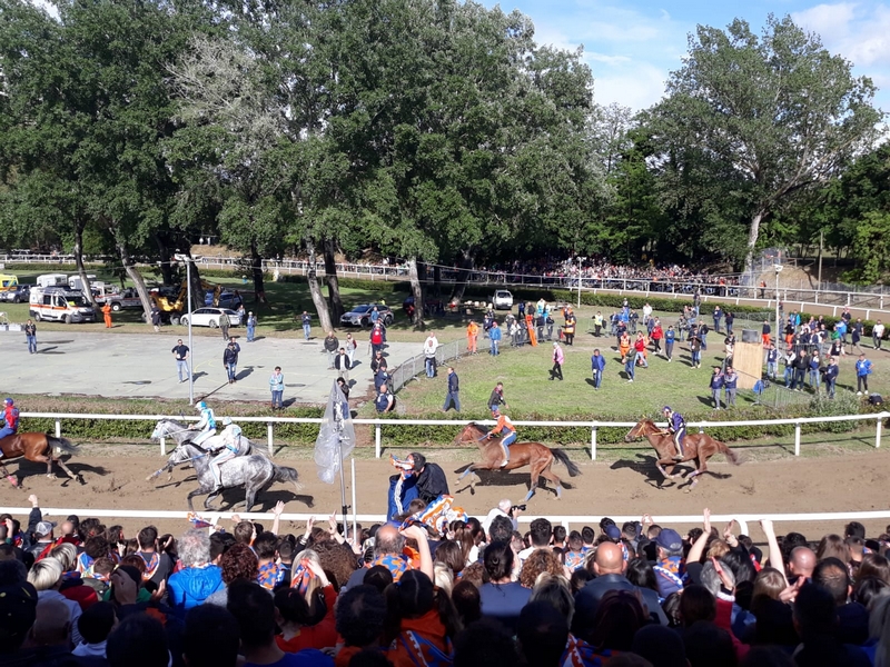 palio_fucecchio_2019_ (14)