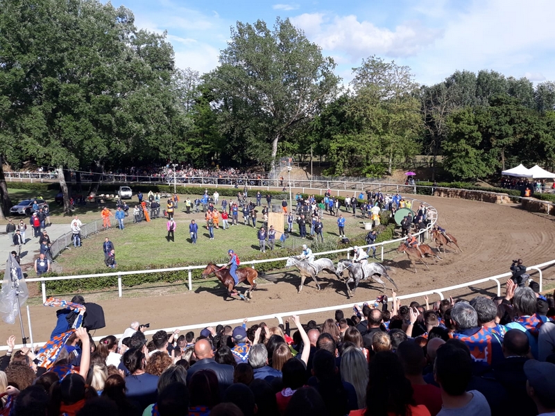 palio_fucecchio_2019_ (17)
