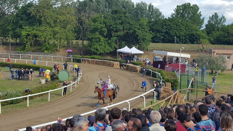 palio_fucecchio_2019_ (2)